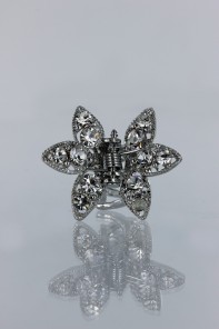 Small Actue hair clip jewelry 2qty-CR